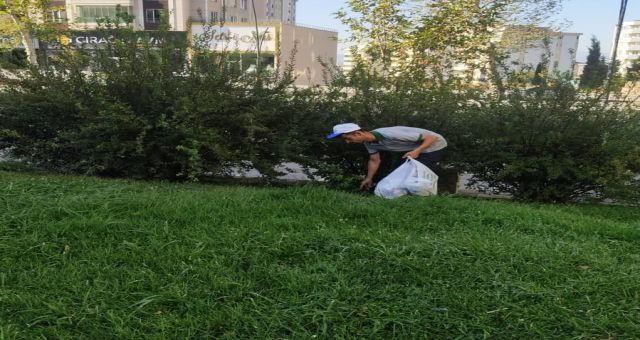 Büyükşehir, Yeşil Alanları Bakıma Aldı