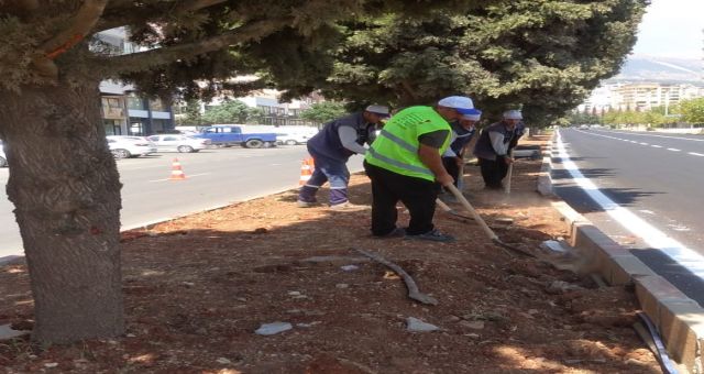 Büyükşehir, Kent Estetiği İçin Görev Başında