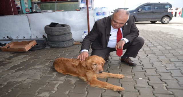 Belediye Başkan Adayı Dr. Selahaddin Can: 'Dulkadiroğlu'nu Şaha Kaldıralım'