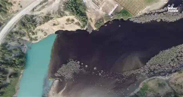 Kahramanmaraş Sır Barajı'nda Toplu Balık Ölümleri Tedirginlik Yaratıyor