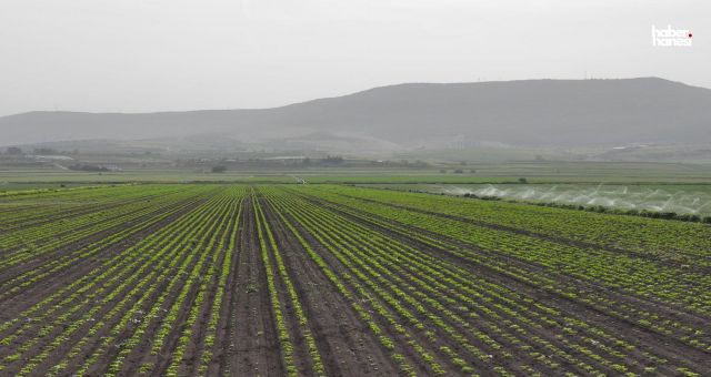 Kahramanmaraş'ta 2024 Sulama Sezonu Başladı: DSİ'den Çiftçilere Büyük Destek