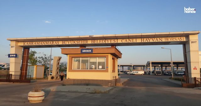Kahramanmaraş'ta Kurban Bayramı Öncesi Padok Kiralama Başlıyor