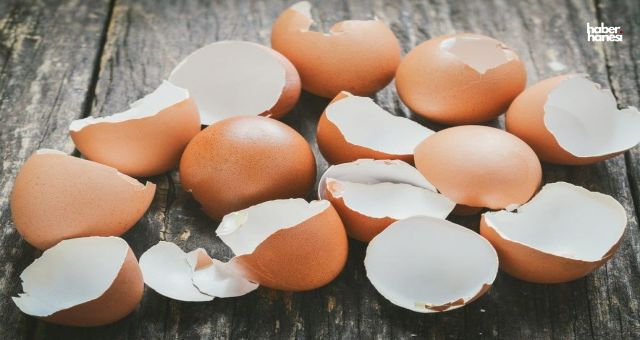 Yumurta Kabuğu Artık Çöpe Atılmayacak! Kireçlenme Ağrısına Doğal Çözüm