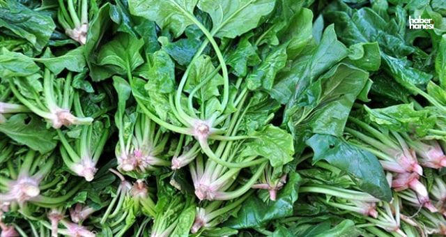 Demirin Yoldaşı C Vitamini: Ispanağın Doğru Tüketim Şekilleri!