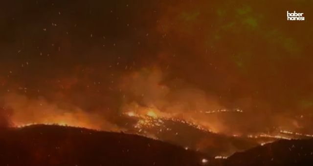 Diyarbakır ve Mardin’de Anız Yangını Faciası: 11 Kişi Hayatını Kaybetti