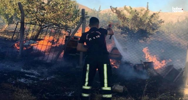 Kahramanmaraş’ta Bahçe Yangını: Bal Arıları Telef Oldu!