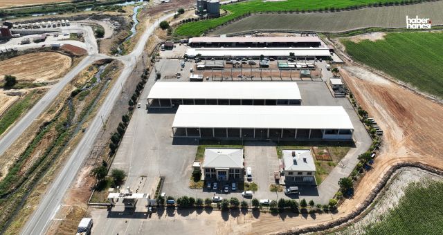 Kahramanmaraş'ta Kurban Bayramı Hazırlıkları Hız Kazandı: Besiciler Canlı Hayvan Borsası'nda Yerlerini Alıyor