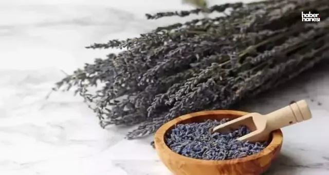 Lavanta Yağının Faydaları Nelerdir? Lavanta Yağı Evde Nasıl Yapılır?