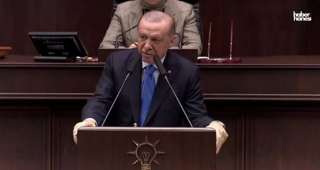 Cumhurbaşkanı Erdoğan: 'Sokaklarımızı Güvenli Hale Getireceğiz, Başıboş Köpekler Sorunu Çözülecek'