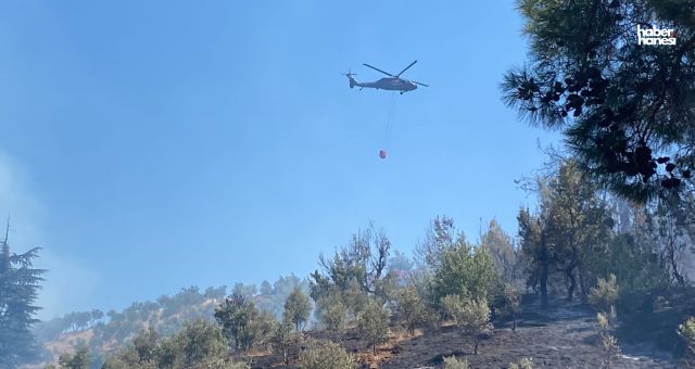Kahramanmaraş Onikişubat'ta Orman Yangını İtfaiye Ekiplerince Söndürülmeye Çalışılıyor!