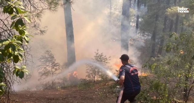 Kahramanmaraş’ta Orman Yangını Gece Boyu Süren Çabalarla Kontrol Altına Alındı