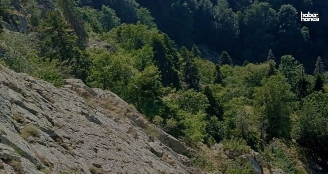 Kahramanmaraş'ta Uçuruma Düşen Kişi İçin Zamanla Yarış: İtfaiye Ekipleri Sahada