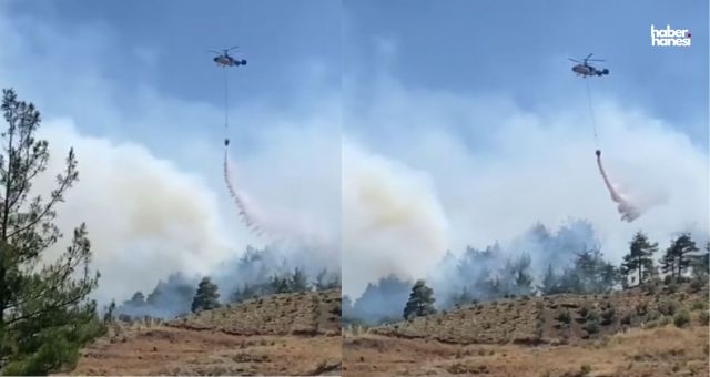 Kahramanmaraş'taki Orman Yangını Kontrol Altına Alındı: 50 Hektar Kül Oldu!
