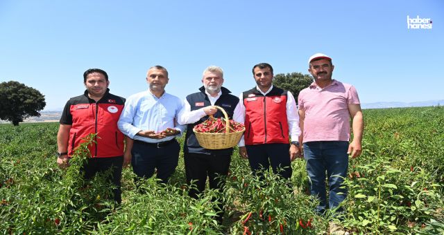 Kahramanmaraş Biberi Hasadı Başladı: Başkan Görgel’den Üretim Müjdeleri