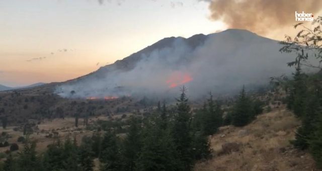 Kahramanmaraş’ın Afşin İlçesinde Orman Yangını: Ekipler Olay Yerinde