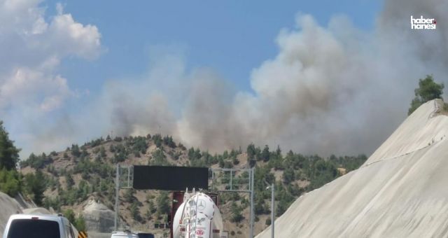 Kahramanmaraş’ta Orman Yangını! Kontrol Altına Alınmaya Çalışılıyor