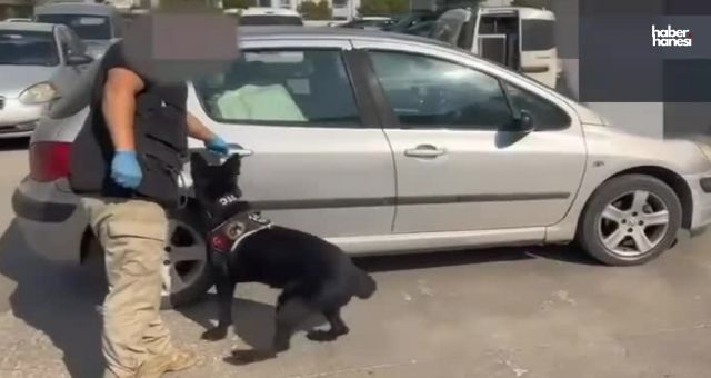 Kahramanmaraş’ta Sentetik Ecza Haplarla Uyuşturucu Ticareti Yapan Dört Kişi Yakalandı