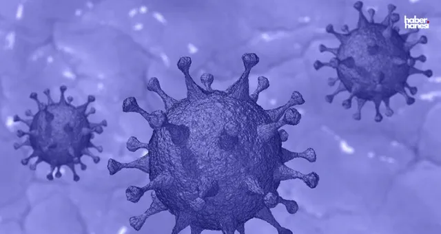 Maymun Çiçeği Alarmı: Ateş, Baş Ağrısı ve Halsizlikle Başlayan Belirtilere Dikkat
