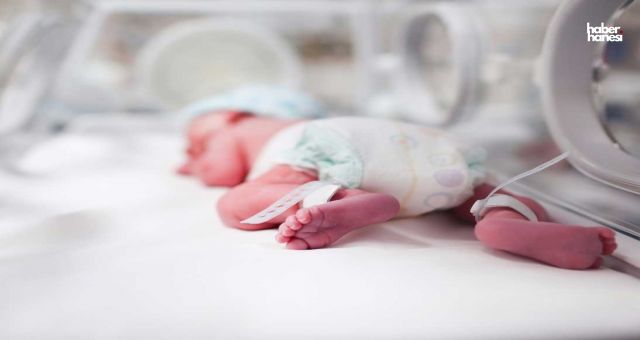Osmaniye'de Şok Olay: Mısır Tarlasına Terkedilen Yeni Doğmuş Bebek Kurtarıldı!