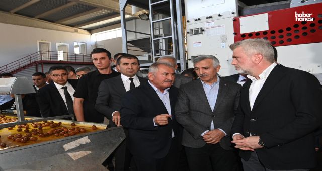 Kahramanmaraş’ın Değerleri Dünya Sahnesinde: Çağlayancerit Cevizi ve Yeni Tescil Hedefi