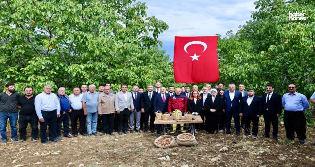 Kahramanmaraş’ta Ceviz Hasadı Başladı! Başkan Toptaş’tan Çiftçilere Tam Destek