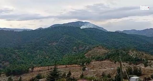 Kahramanmaraş’ta Korkutan Yangın: Ormandan Alevler Yükseldi!