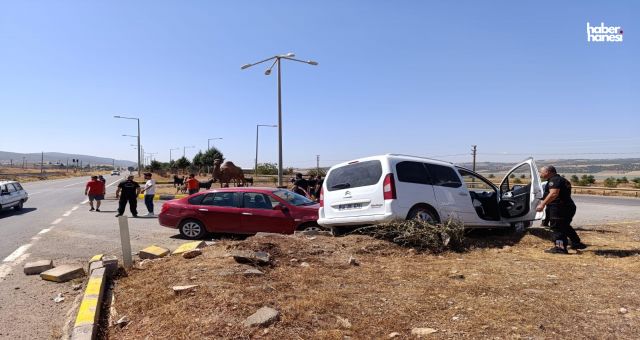 Kahramanmaraş'ta Trafik Kazalarının Ardı Arkası Kesilmiyor!