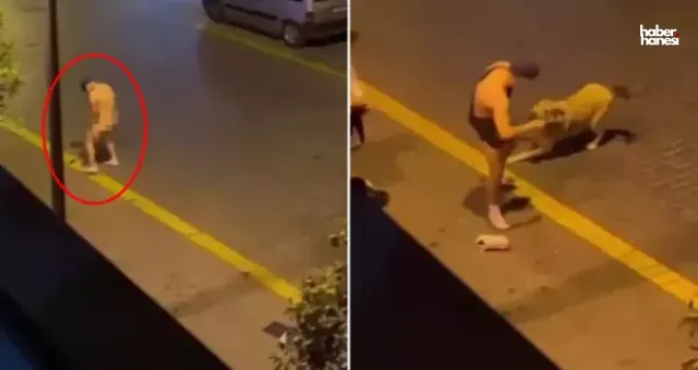Antalya’da Sokak Köpeğine Tecavüz Girişimi: 2 Kişi Tutuklandı