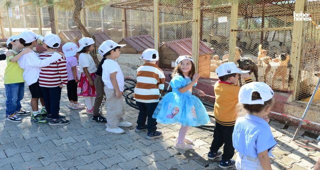 Kahramanmaraş'ta Çocuklar ve Sokak Hayvanları Barınakta Buluştu!