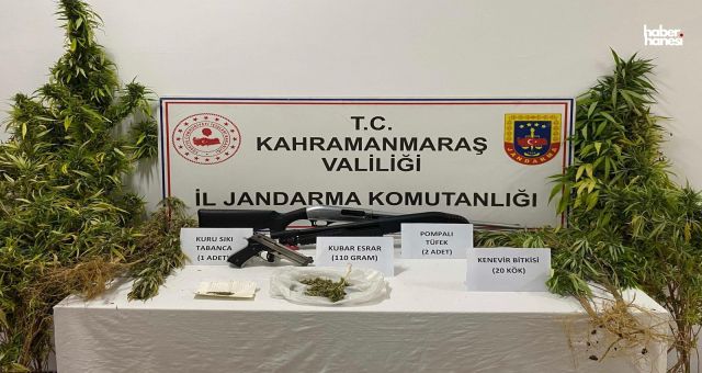 Kahramanmaraş’ta Kenevir Yetiştiren Kişi Gözaltına Alındı