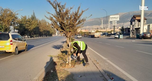 Kahramanmaraş'ta Ortak Alanlar Kışa Hazırlanıyor: Çim Biçme ve Ağaç Dikme Çalışmaları