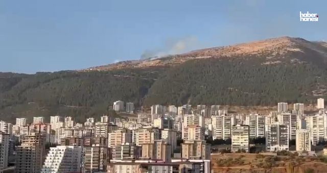 Kahramanmaraş Adliyesi Yakınında Orman Yangını Çıktı!