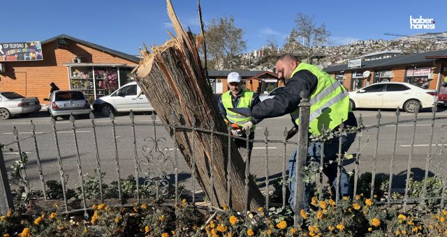 Kahramanmaraş’ta Fırtına Tahribatı: Ekipler Yoğun Çalışma Yürütüyor