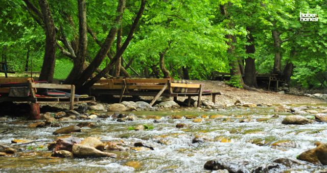 Kahramanmaraş Fırnız Orman Parkı 20 Yıllığına Kiraya Verilecek!