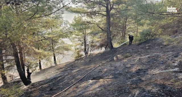 Kahramanmaraş'ta Orman Yangını Korkuttu, Ekipler Kontrol Altına Aldı