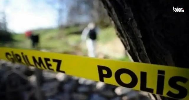 Kahramanmaraş'ta Şok Olay: 80 Yaşındaki Adam Ağaçta Ölü Bulundu