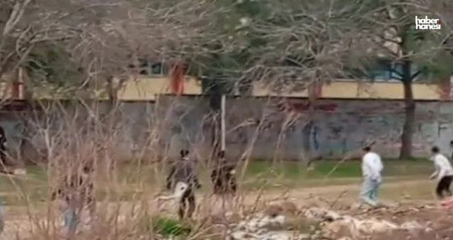Kahramanmaraş'ta Taşlı Kavga: Şazibey'de Ortalık Karıştı!