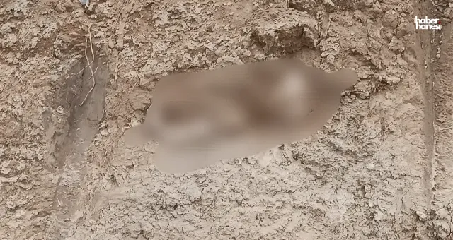 Kahramanmaraş'ta Temel Kazısı Sırasında Şok Bulgu: İnsan Kemiği Şüphesi