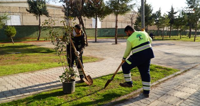 Şehitkamil Belediyesi'nden Büyük Dönüşüm: Şehit Ömer Çolak Parkı Yenilendi