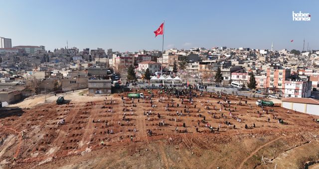 Şehitkamil Belediyesi'nden Hacıbaba'ya Yeni Nefes: 29. Etap Şehitkamil Ormanı Kuruldu