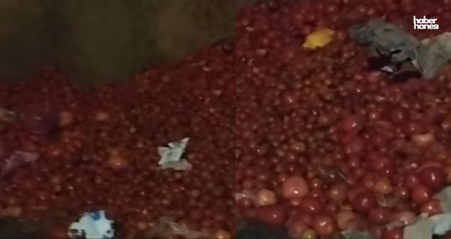 Sosyal Medyada Büyük Tepki: Kahramanmaraş'ta Domatesler Çöpe Döküldü