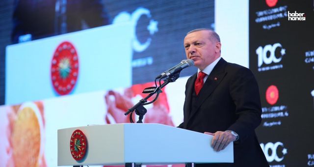 Cumhurbaşkanı Erdoğan: "Depremde Yitirdiğimiz Canların Hatırasını Yaşatacağız"