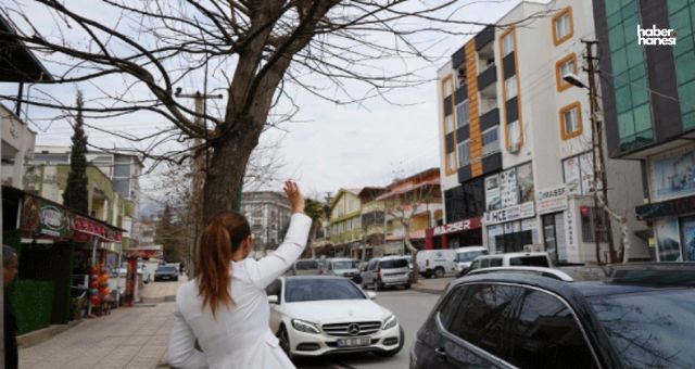 Kahramanmaraş’ta Sıcak Buluşma: Vekil Çay Davetini Geri Çevirmedi!