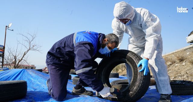 Kahramanmaraş’ta Yaz Gelmeden Sivrisineklere Karşı Önlem Alınıyor