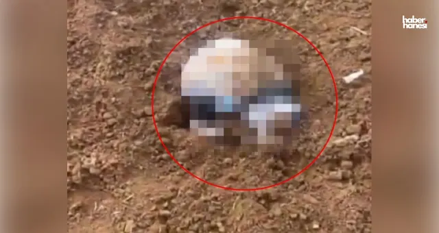Şırnak’ta Vahşet: Arazide Poşete Sarılı Bebek Cesedi Bulundu!