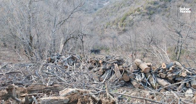 Kahramanmaraş'ta Kamyonun Uçuruma Yuvarlandığı Kazada 1 Kişi Öldü!