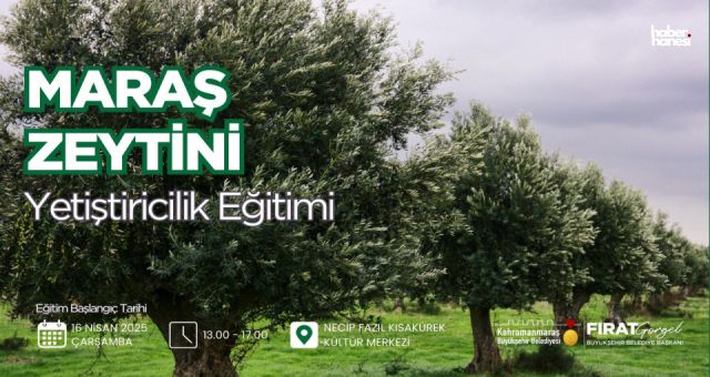 Kahramanmaraş Büyükşehir’den Zeytin Üreticilerine Eğitim Desteği!