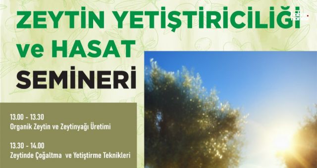 Kahramanmaraş Büyükşehirden Zeytincilikte Kalite Hamlesi