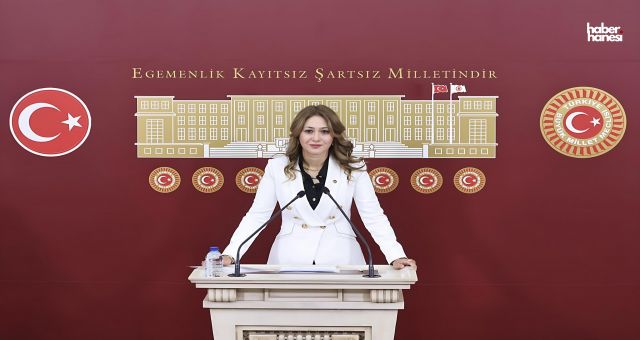 MHP Kahramanmaraş Milletvekili Dora: “ADF Milli Vizyonun Yansımasıdır”