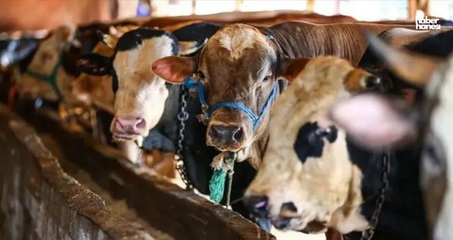 2025 Kurban Bayramı Tatili Kaç Gün? Resmi Açıklama Geldi